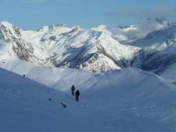 081124_A_siamo in 68.JPG